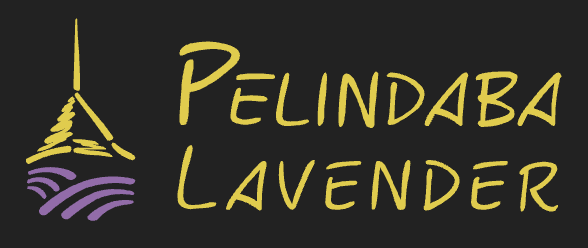 Pelindaba Lavender Logo